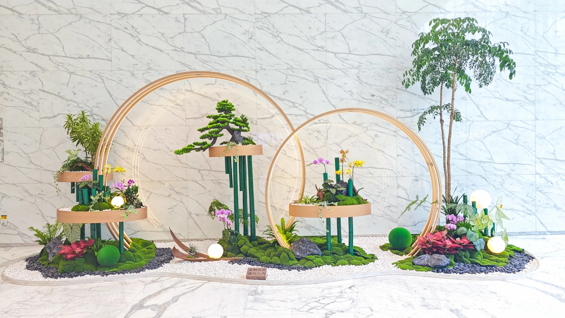 专业盆景租赁，宁波杭州湾的自然之美新选择